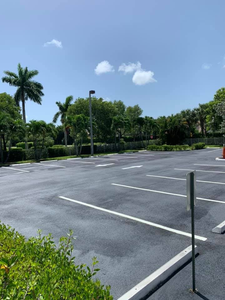 Freshly striped commercial parking lot with crisp white lines and palm trees